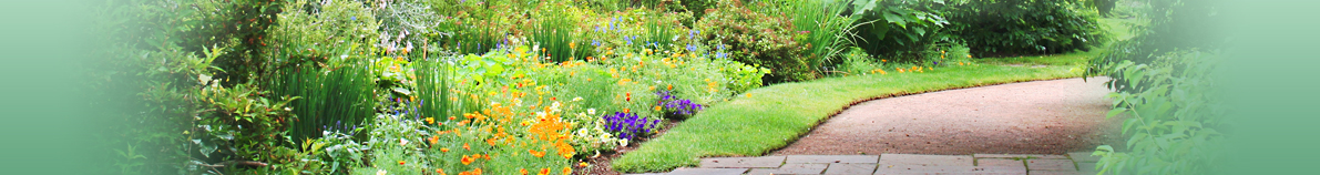 Homepage header photo