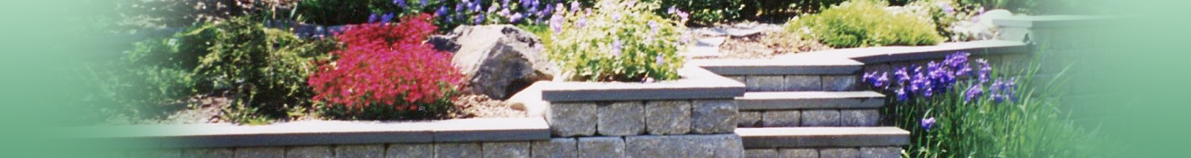 Homepage header photo